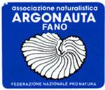 Argonauta